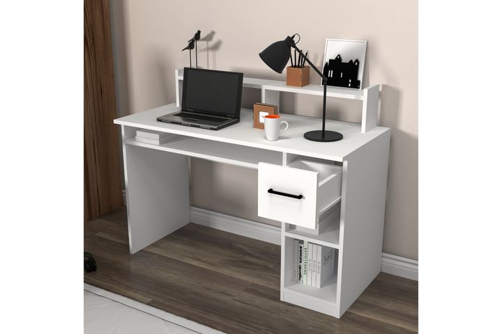 Arnetti Shari Bureau, Wit