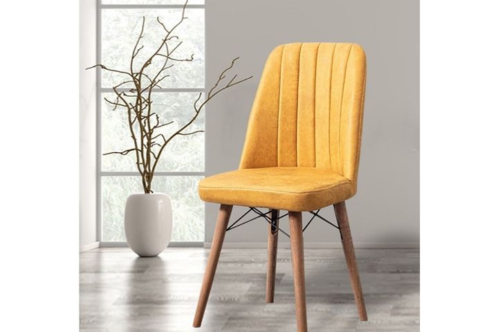 Nicasius Stoel, Geel