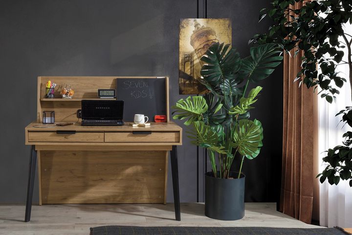 Colosseum Bureau, Walnoot