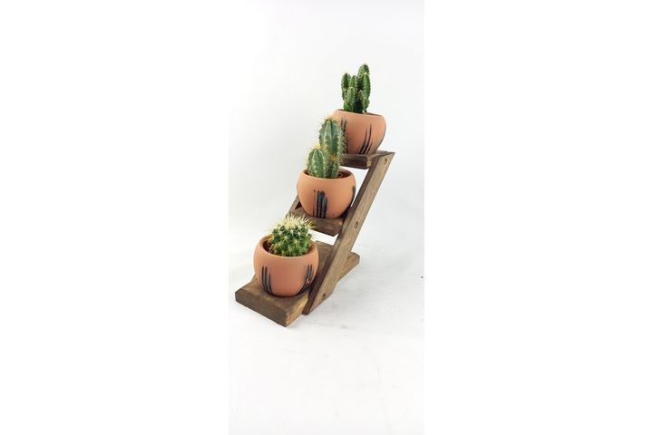Terracotta Design Cactus Pot