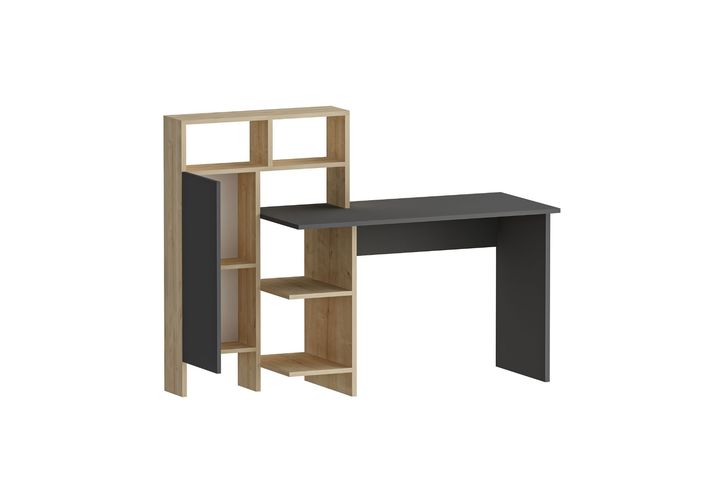 Arnetti Asahi Bureau, Antraciet en Eik