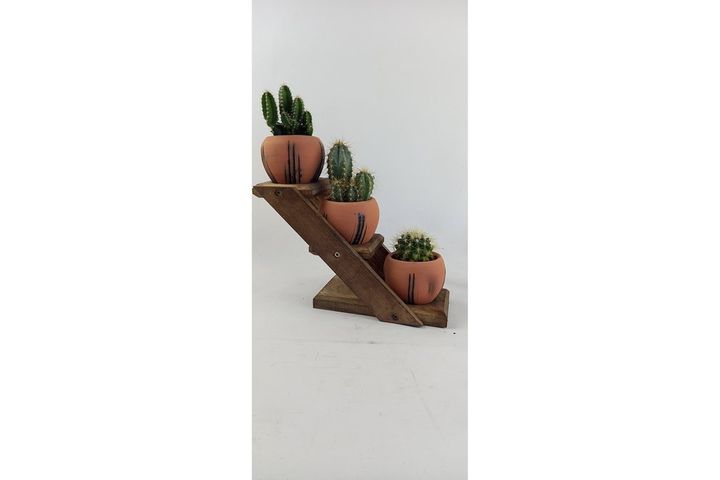 Terracotta Design Cactus Pot