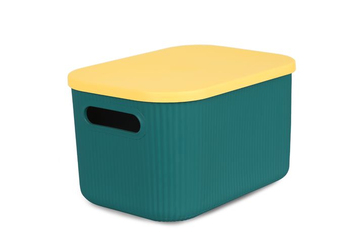 Homing Storage Box, Green & Yellow