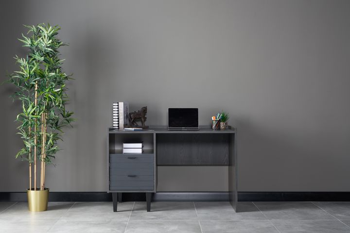 Franz Bureau