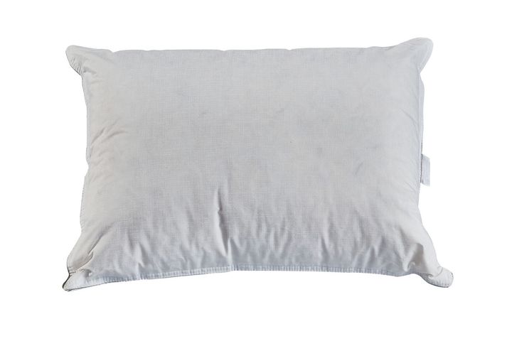 Martin Kussen Van Ganzendons, 50x70 cm