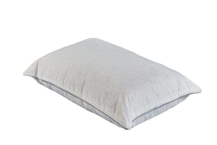 Martin Kussen Van Ganzendons, 50x70 cm