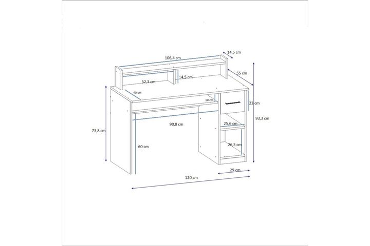Arnetti Shari Bureau, Wit