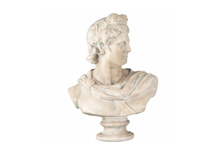 Buste Apollo, Creme