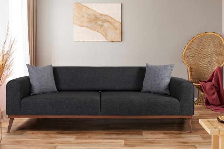 Seneca Slaapbank, Antraciet