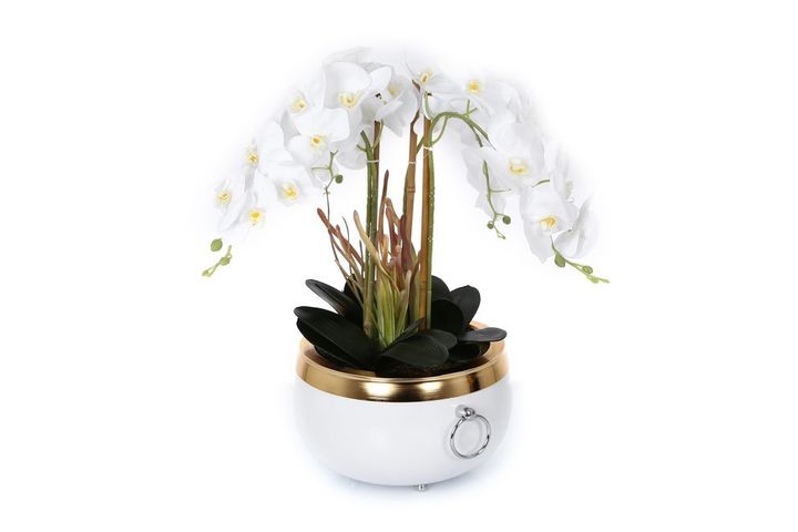 Orchid Pot with Handle, Gold & White