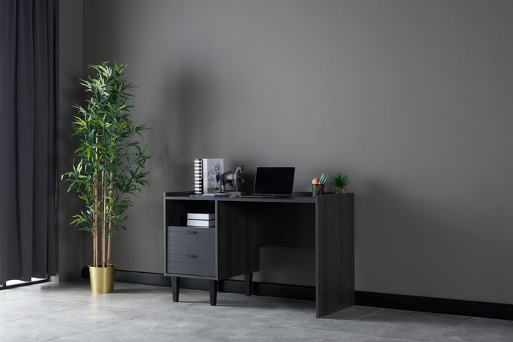 Franz Bureau