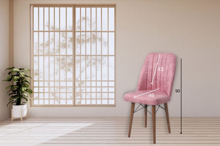 Nicasius Stoel, Roze