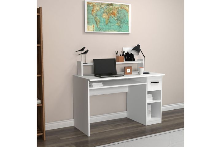 Arnetti Shari Bureau, Wit