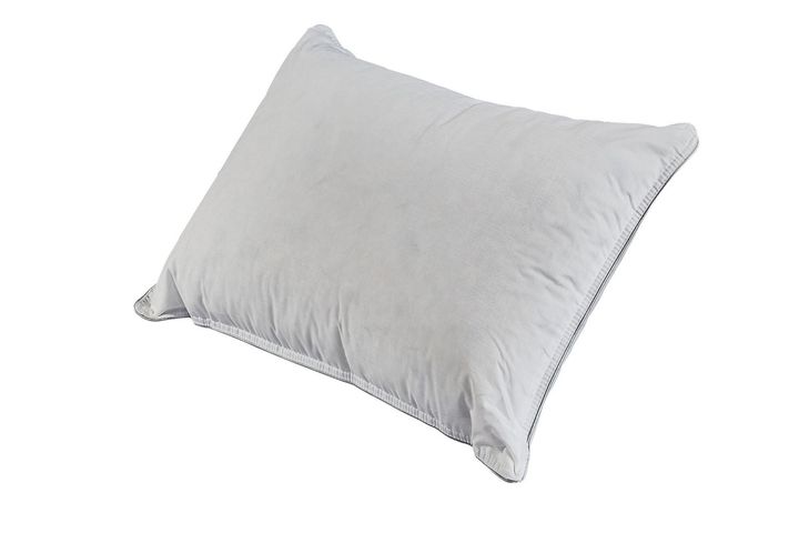 Martin Kussen Van Ganzendons, 50x70 cm