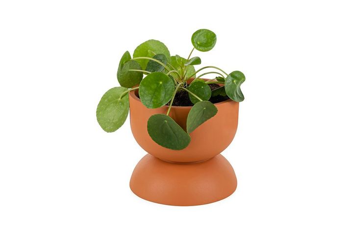 Joy Pot Planter, 20 cm, Orange